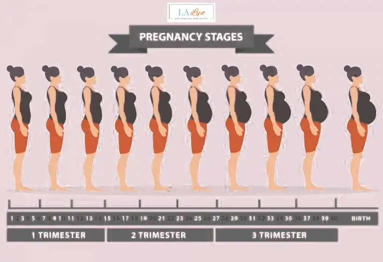 First Trimester (Weeks 1–12): Early Changes You Might Not Notice Billericay